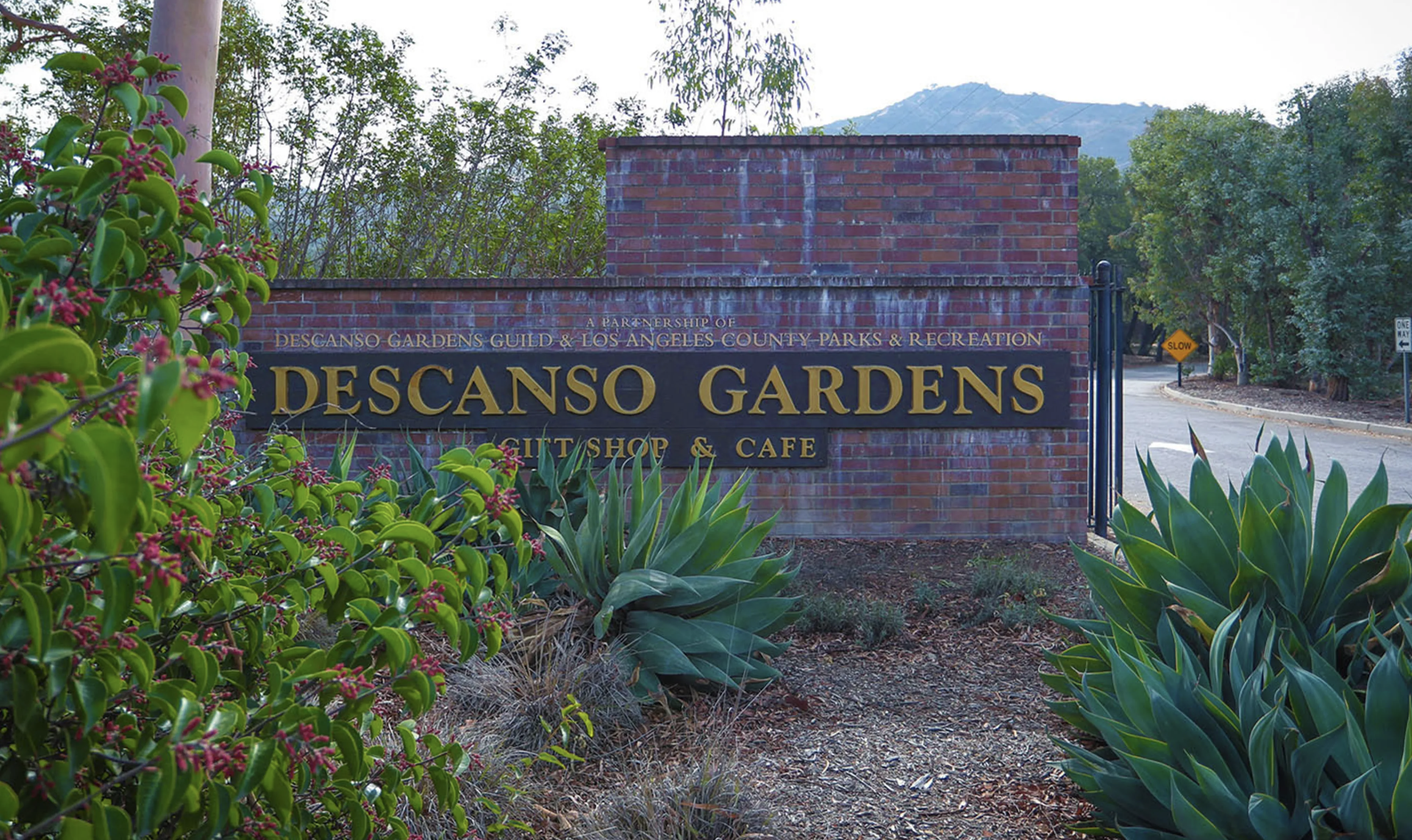 Descanso Gardens